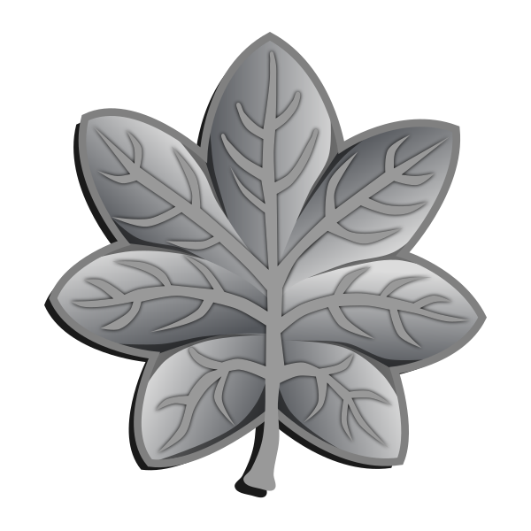Lieutenant Colonel insignia